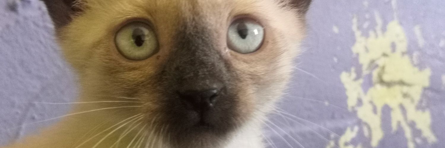obiusly_'s profile banner image