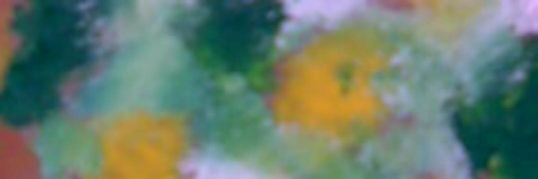 oaw's profile banner image