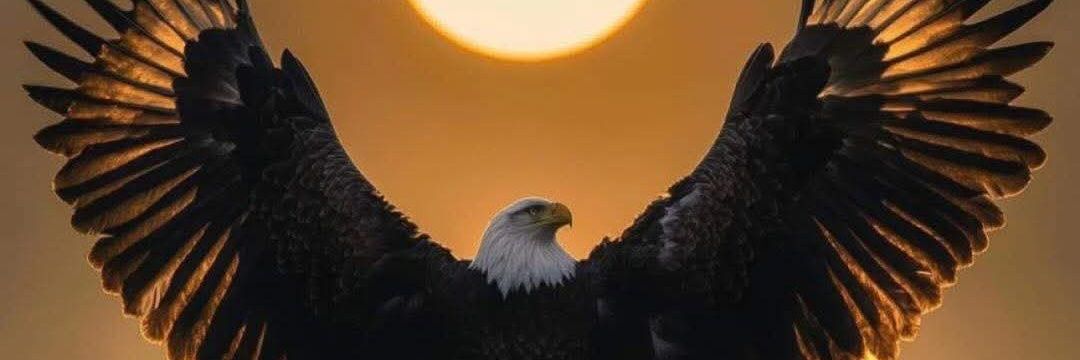 CenkerHursit's profile banner image