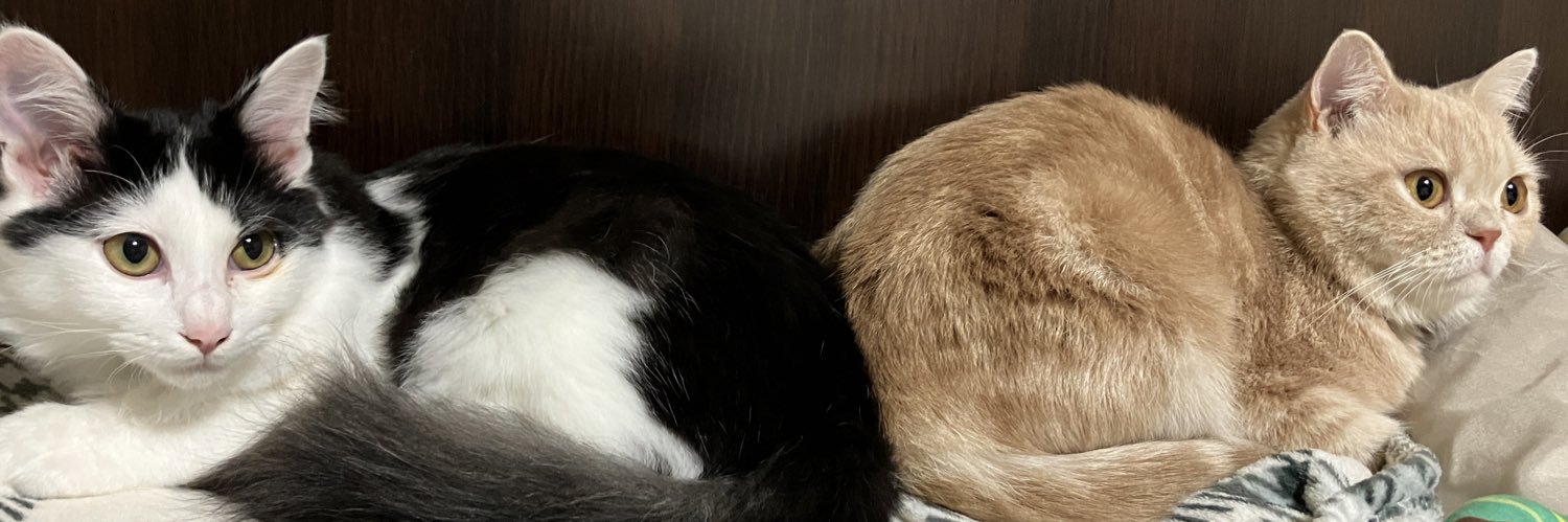 Mugi_62109's profile banner image