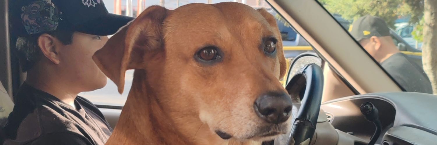 baggui's profile banner image