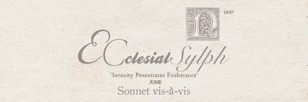 neyT___T Profile Banner