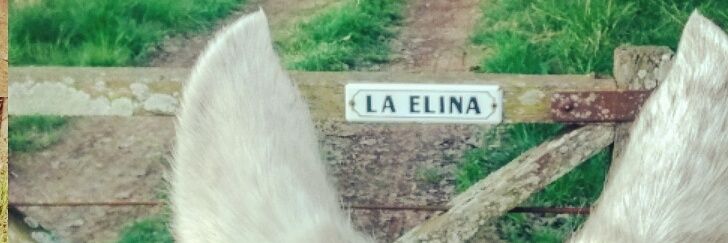 ElinaMG's profile banner image