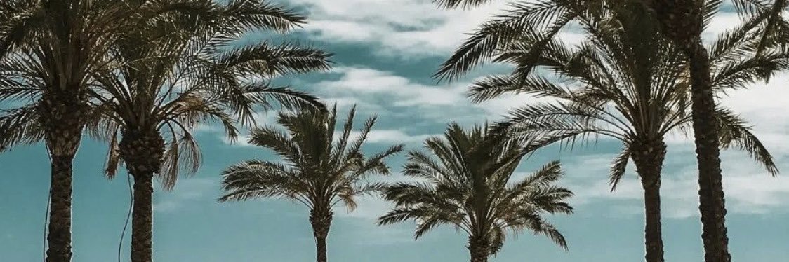 Kevodemos's profile banner image
