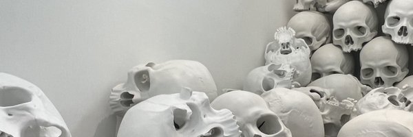 zxir_o1 Profile Banner