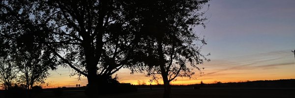 PamelaBasnett Profile Banner