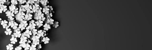 sevdagurrr's profile banner image