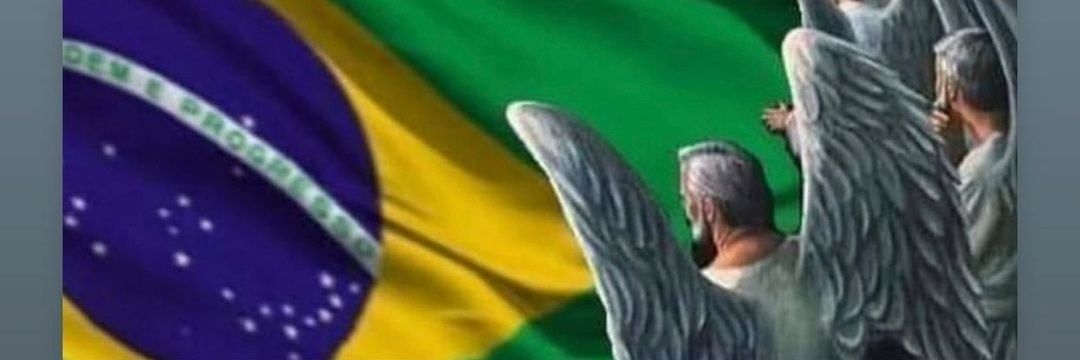 Elisa🇧🇷 banner