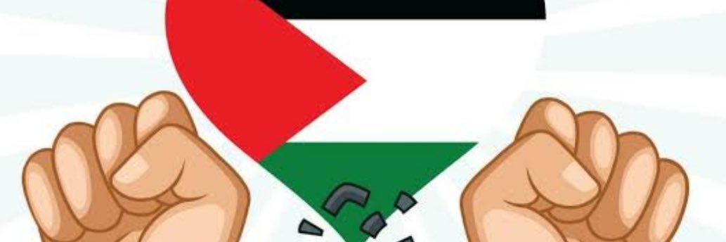 wael_omar8's profile banner image