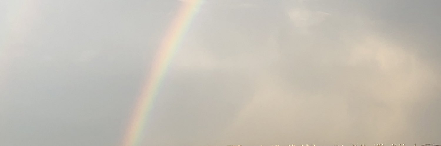 bizzledopee's profile banner image