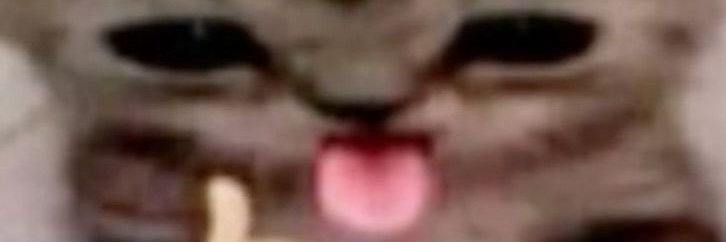 KY | COMMS OPEN banner