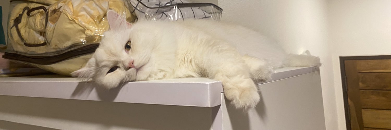 ppiimmmmmx's profile banner image