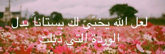 مريم الجامع🕊 banner