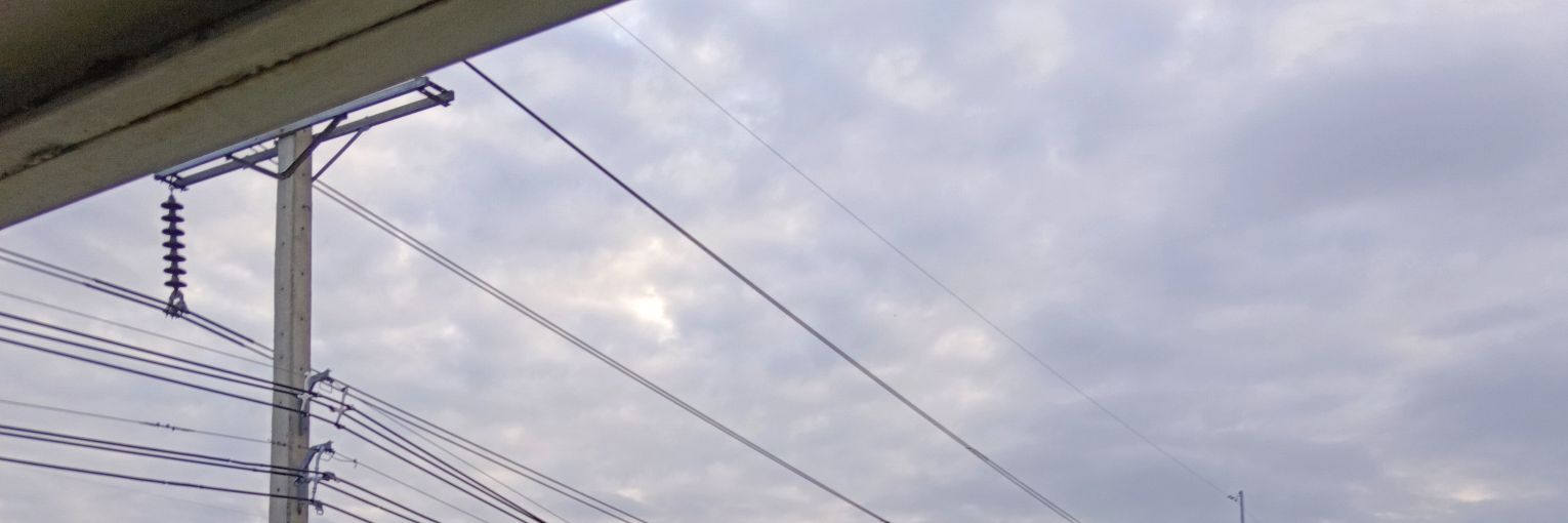 gon_2_05's profile banner image