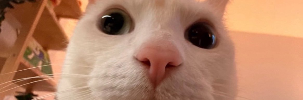 ArsonTheo's profile banner image