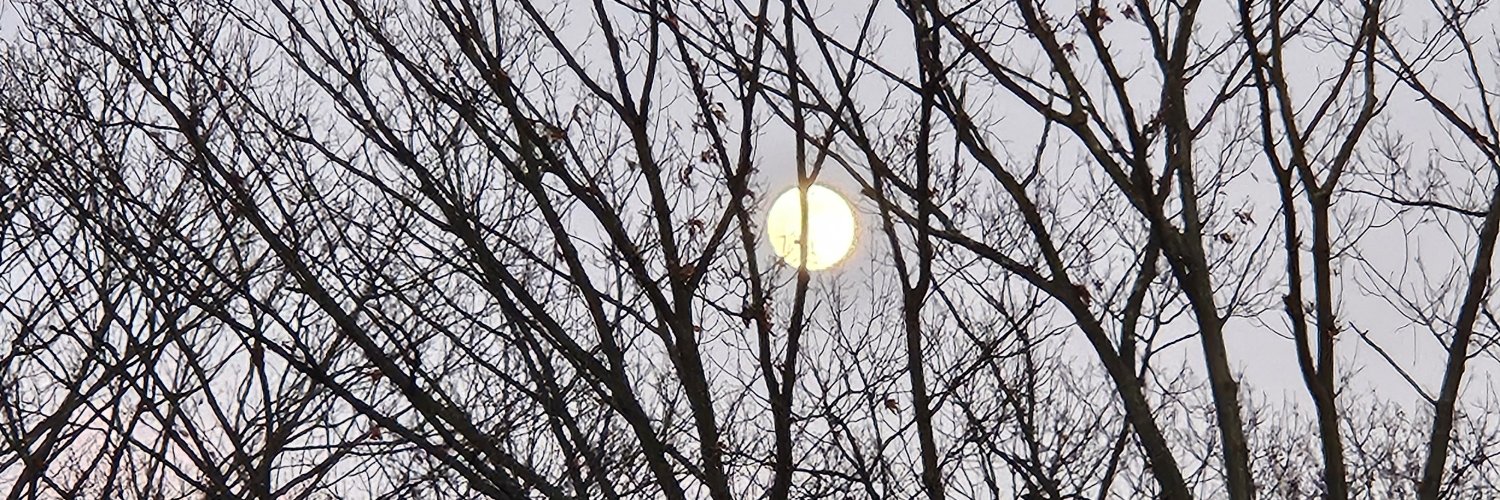 Daily Dose🇺🇸 banner