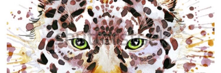 NANCYIV's profile banner image