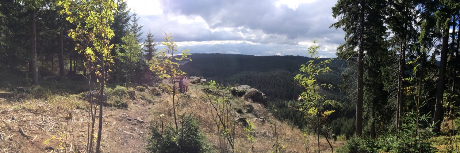 HaasLuuk's profile banner image