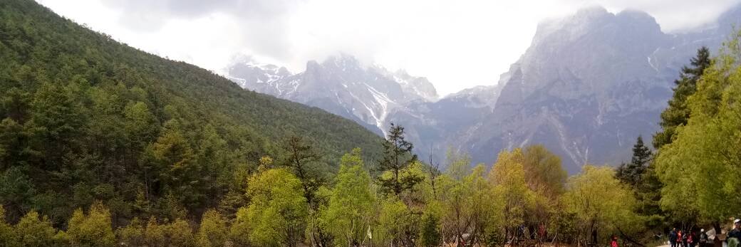 Anson1689🐬TermMax banner