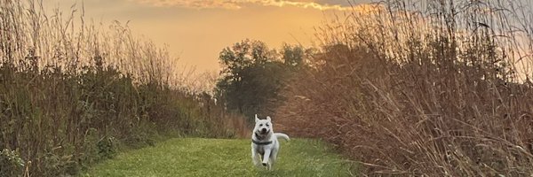 BowTiedDVM Profile Banner