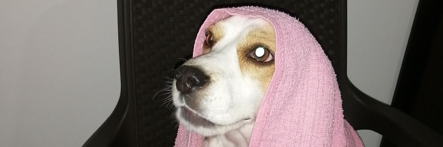 TallandDrunk's profile banner image