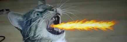 pip_dragon's profile banner image