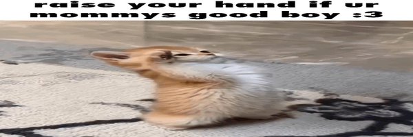 mryuki69 Profile Banner