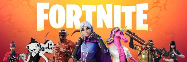 Fortnite Legendary Gamer Profile Banner