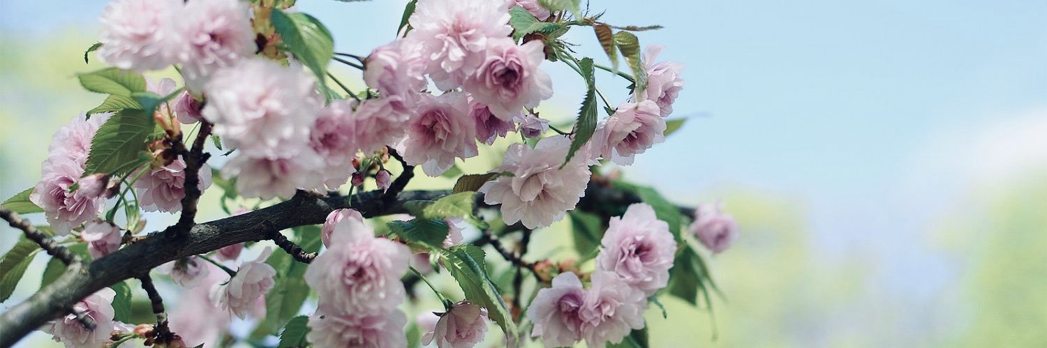 Julia Me. 🇺🇦 banner