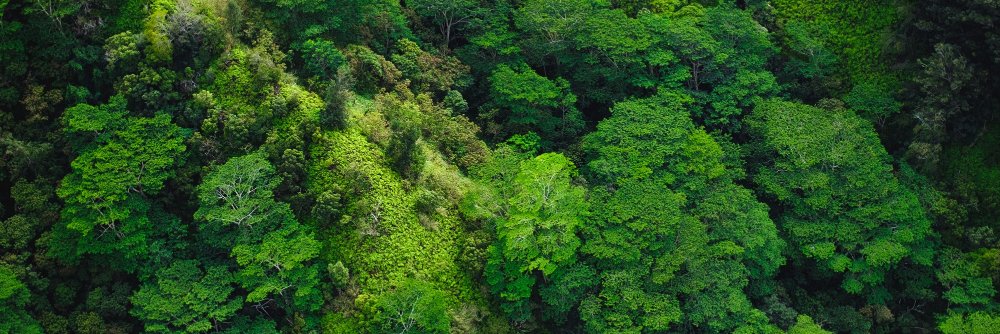 Earthworm France banner