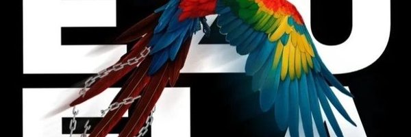 alex_fisher1969 Profile Banner