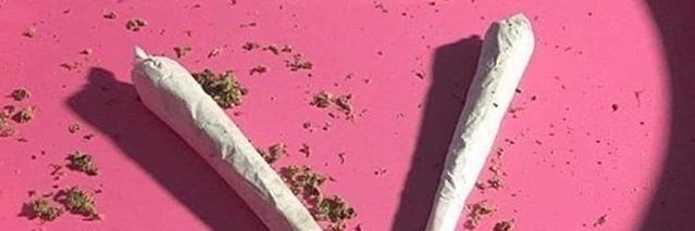 TOTALLY SPIES DAY ROUND ! 💞🍋 banner