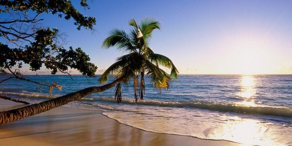 Azucena Gonzalez banner