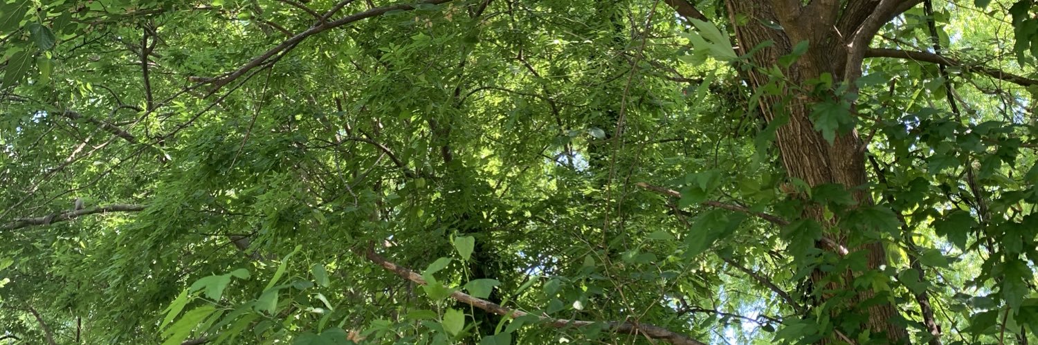 IgnatiusJR's profile banner image
