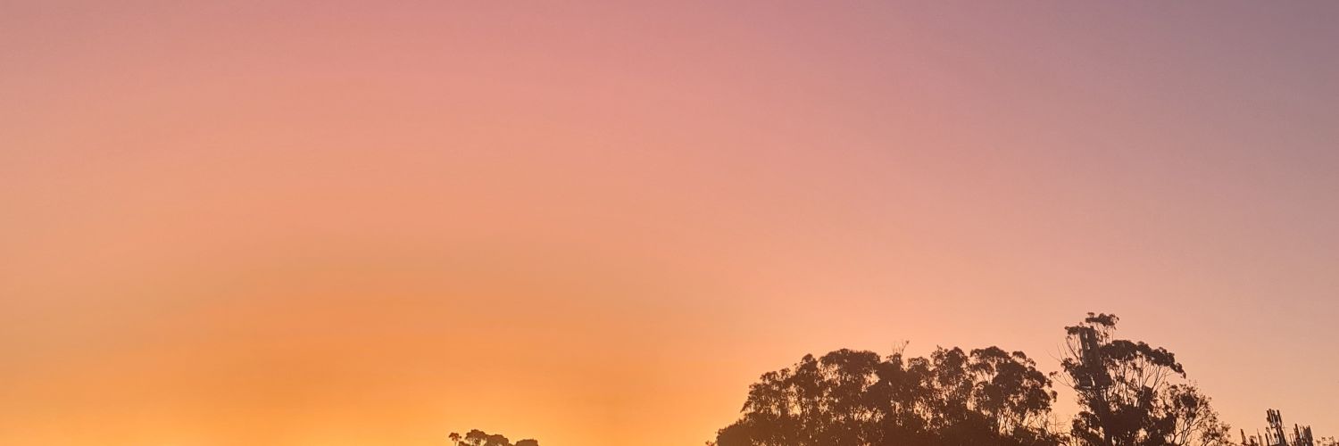 not your business. banner