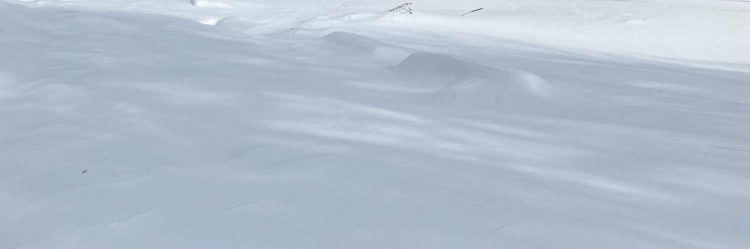 マザートントン banner