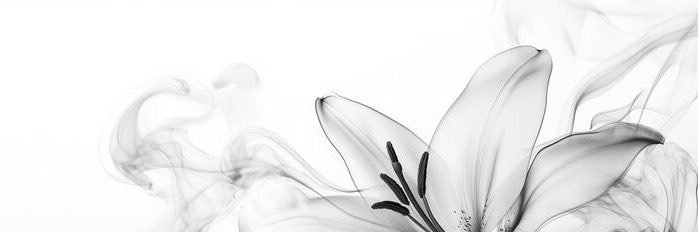 pivoeine's profile banner image