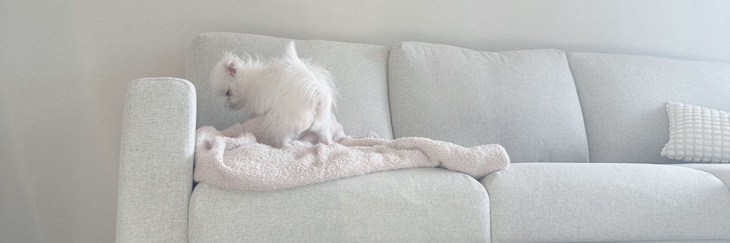 藤白ちらり banner