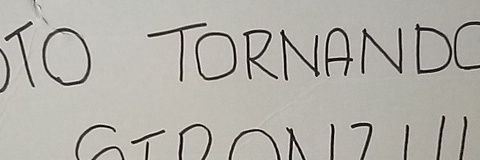 ScatoloSorte's profile banner image