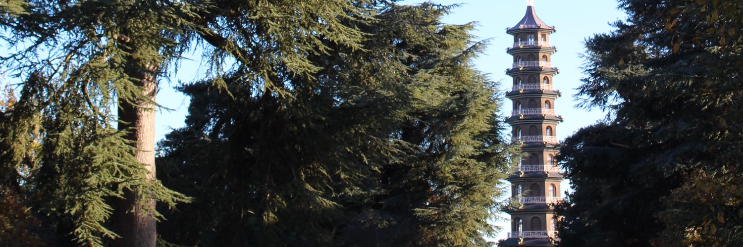 MelLawston's profile banner image