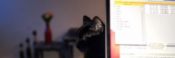 JaneDazzy Profile Banner