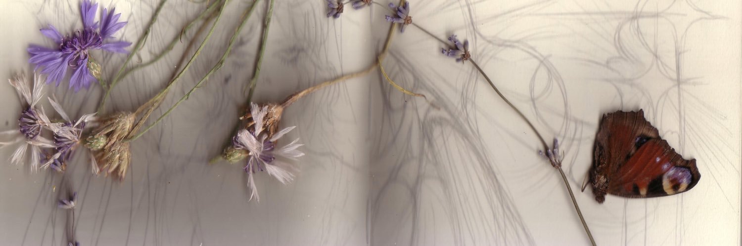 mirgothx's banner
