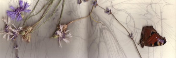 mirgothx Profile Banner