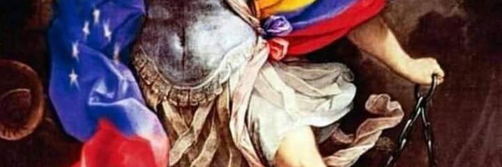 elvisvilla's profile banner image