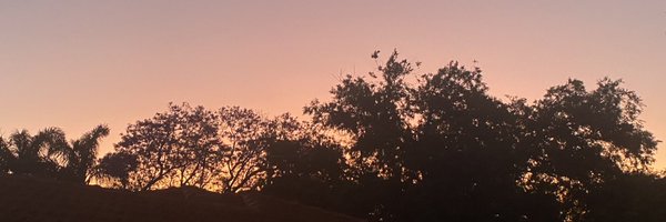 DrTimSlattery Profile Banner