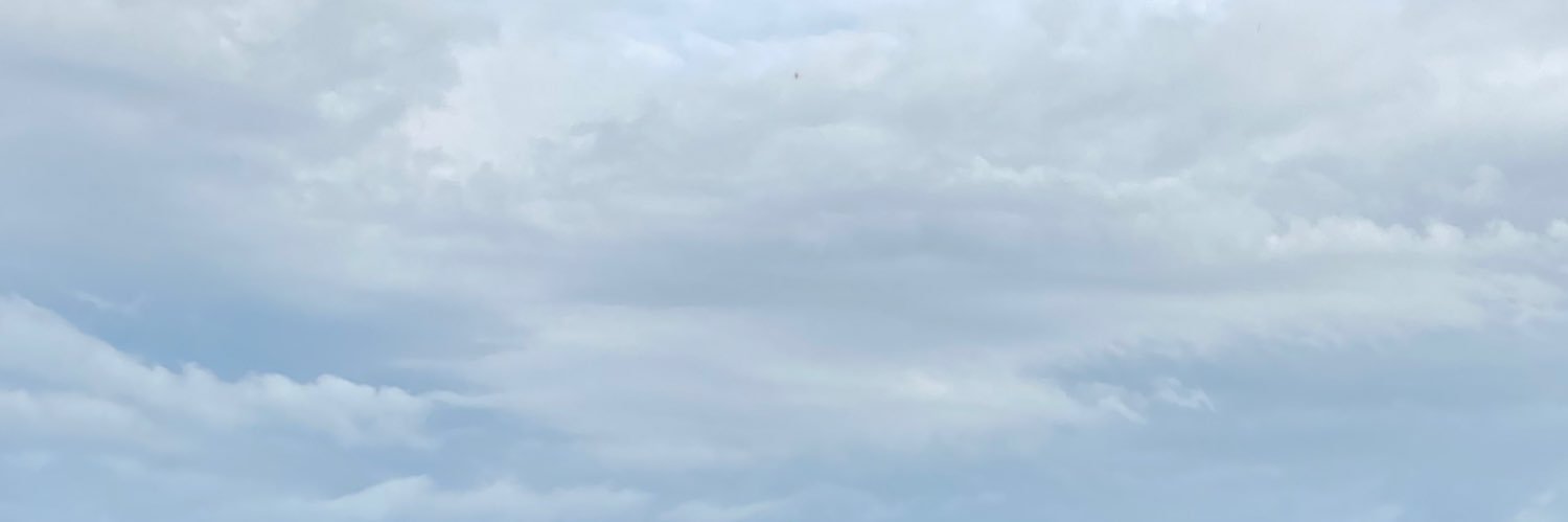 はやのりMk2's banner