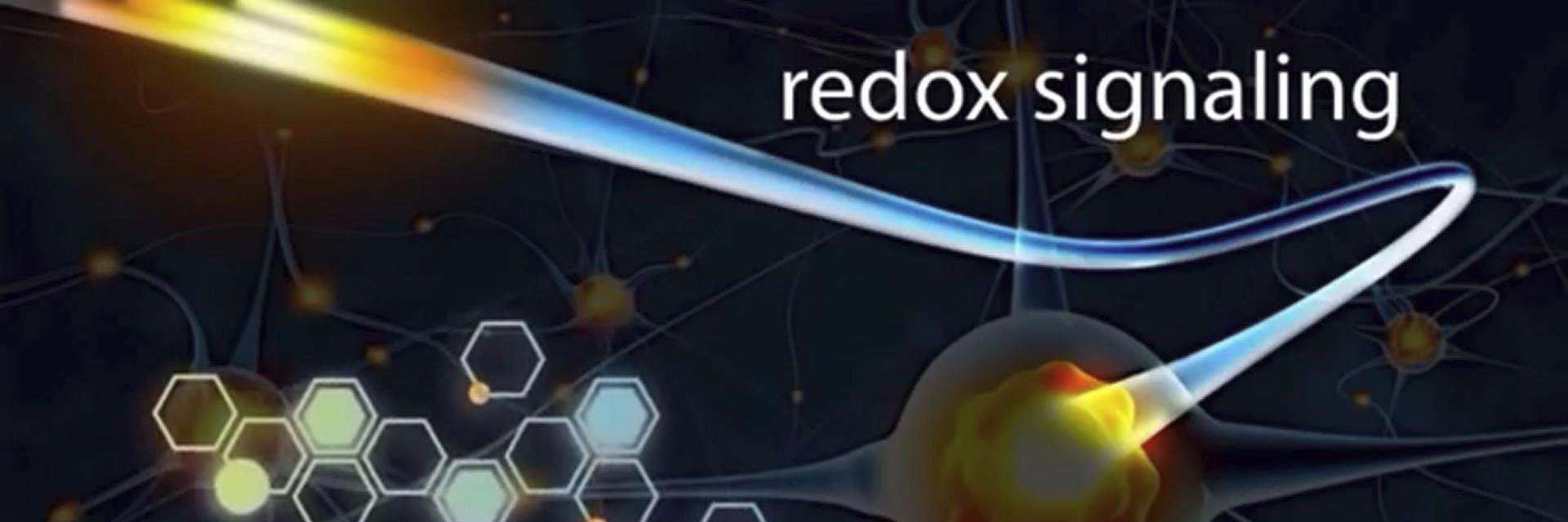 olingray's profile banner image