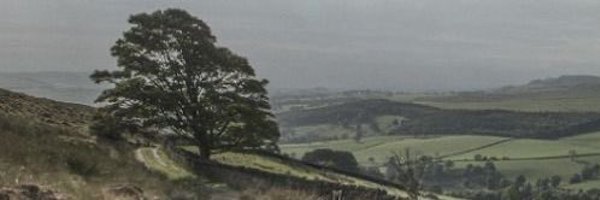 ovichfitz Profile Banner