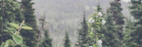 drewstevens31's profile banner image
