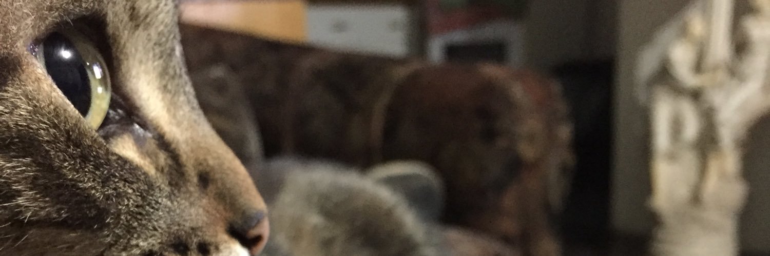 MichaelPollo's profile banner image